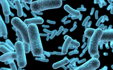 Image without a name