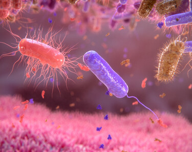 Clostridium Difficile