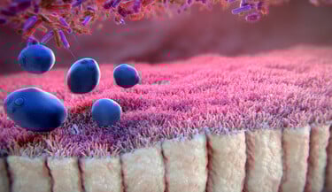 Image without a name Image without a name