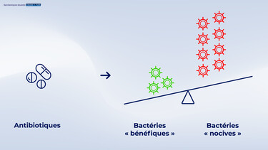Figure 2: Suite à la prise d’antibiotiques, il existe un déséquilibre dans la diversité des bactéries présentes dans l’intestin, avec une augmentation des bactéries nocives