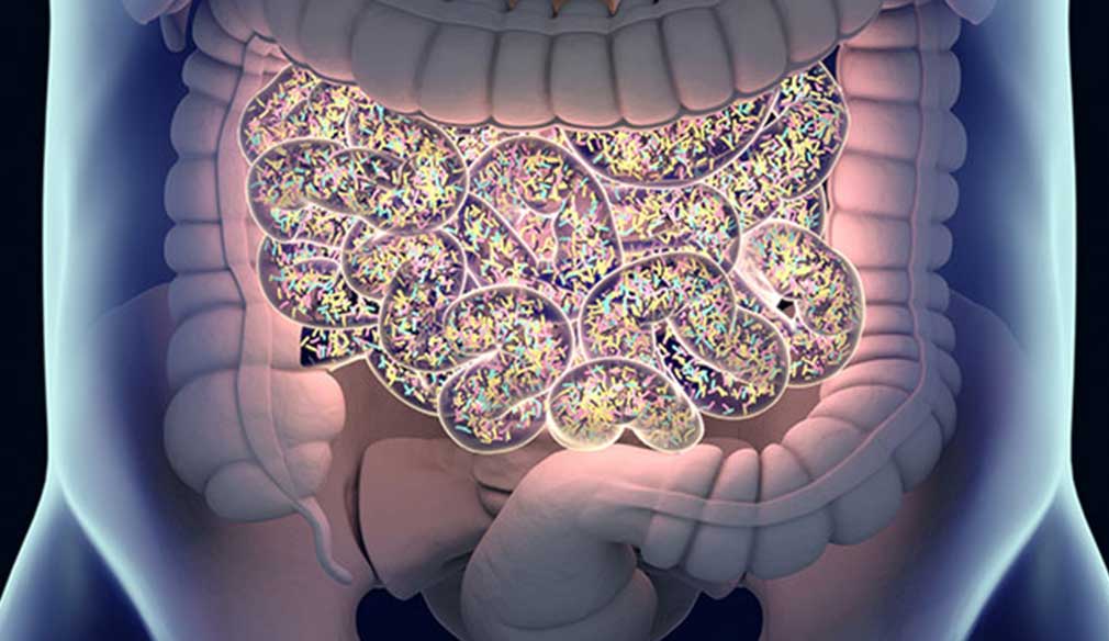 Dysbiose Et Rééquilibre Du Microbiote Intestinal Dysbiose Et Rééquilibre Du Microbiote Intestinal